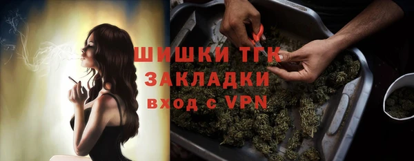 гашик Богородск