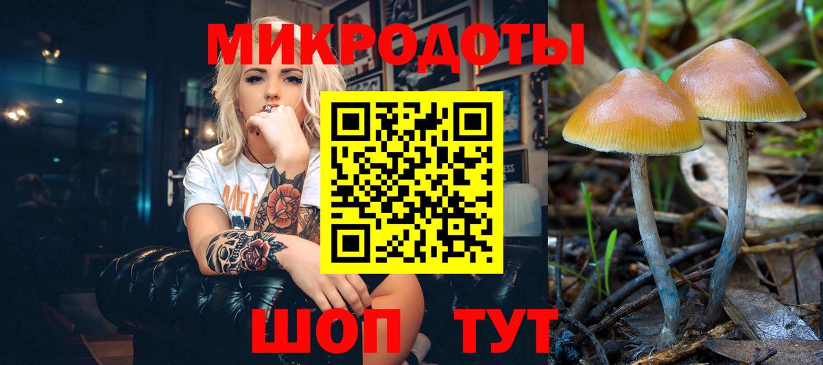 Кулебаки  Галлюциногенные грибы Magic Shrooms  Вход с VPN 